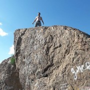  ,   Shark, 39 ,   