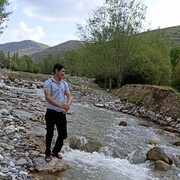 ���������� ����������, ���� ������� ���, 38 ���, ������������ ��� ������, ����� � ���������