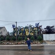 ���������� ��������, ���� ������� VITALII, 42 ����, ������������ ��� ������, ����� � ���������, c�������� ���������, ���������