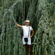 ���������� ������ �����, ���� ������� ������, 57 ���, ������������ ��� ������, ����� � ���������, c�������� ���������