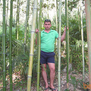  --,   , 46 ,   ,   , c 