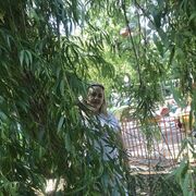  ,   , 42 ,     , c 