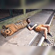  ,   Emir, 27 ,   ,   