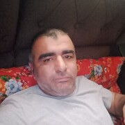  ,  , 43