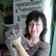  ,   , 49 ,   ,   , c 