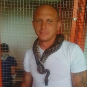  ,   , 41 ,   