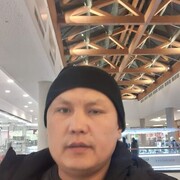 ���������� ����������, ���� ������� Ali, 37 ���, ������������ ��� ������, ����� � ���������