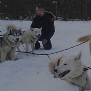 ���������� ������, ���� ������� Harrison, 32 ����, ������������ ��� ������, ����� � ���������