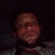  ,   Kot, 31 ,   ,   