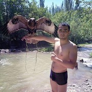  ,  Aristokrat, 32