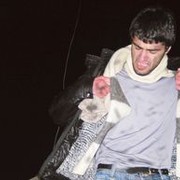  ,   Temo, 32 ,   
