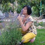  ,   , 49 ,     , c 