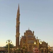 ���������� �������, ���� ������� ���������, 41 ���, ������������ ��� ������, ����� � ���������, c�������� ���������