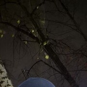  ,   , 31 ,   c 