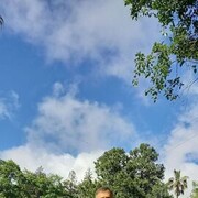  ,   , 65 ,     , c 