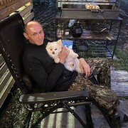 ���������� �������, ���� ������� ����, 47 ���, ������������ ��� c�������� ���������