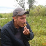  ,   , 43 ,   