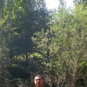 ���������� ������, ���� ������� ��������, 36 ���, ������������ ��� ������, ����� � ���������, c�������� ���������