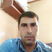 ���������� ����, ���� ������� Perviz, 36 ���, ������������ ��� ������, ����� � ���������, c�������� ���������