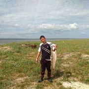  -,   , 37 ,   ,   , c 