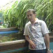 ���������� �������, ���� ������� �����, 42 ����, ������������ ��� ������