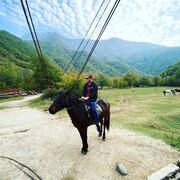 ���������� �����������, ���� ������� �������, 34 ����, ������������ ��� ������, ����� � ���������