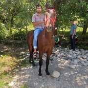 ���������� �����-���������, ���� ������� �������, 35 ���, ������������ ��� ������, ����� � ���������