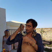  ,   , 48 ,   ,   , c 