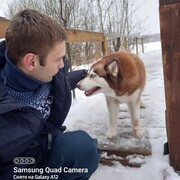 ���������� ������� ����, ������� ������, 37