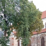  ,  , 63