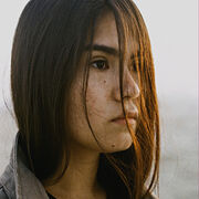 ���������� ���������, �������