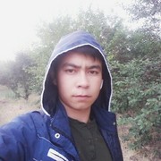 ,   Bagdan, 29 ,   ,   , c 