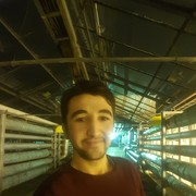  -,   MAKSIM, 29 ,   ,   , c 