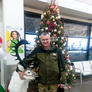 ���������� ������, ���� ������� ����, 55 ���, ������������ ��� ����� � ���������, c�������� ���������