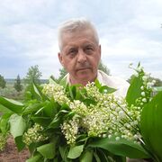  ,   , 60 ,   ,   