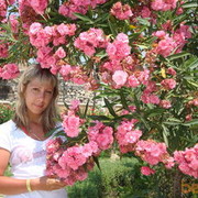 ���������� �����������, ���� ������� ��������, 39 ���, ������������ ��� ������, ����� � ���������, c�������� ���������