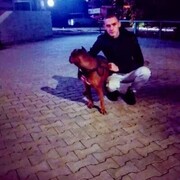 ���������� ������, ���� ����� ���������, 24 ����, ������������ ��� ������, ����� � ���������