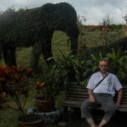 ���������� �������, ���� ������� ������, 42 ����, ������������ ��� ������, ����� � ���������, c�������� ���������