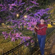 ���������� �����������, ���� ������� �������, 51 ���, ������������ ��� ����� � ���������, c�������� ���������