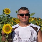   ,   , 67 ,     