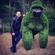 ���������� �����������, ���� ������� ������, 33 ����, ������������ ��� ����� � ���������