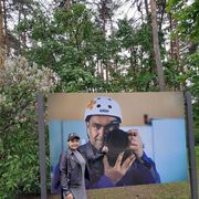 ���������� ������, ������� ���������, 43