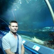 ���������� ���������, ���� ������� ����, 48 ���, ������������ ��� c�������� ���������