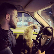 ���������� �����-���������, ���� ������� ����, 30 ���, ������������ ��� ������, ����� � ���������