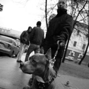 ���������� �����-���������, ���� ������� ������, 36 ���, ������������ ��� ������, ����� � ���������