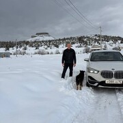 ���������� �����������, ���� ������� �����, 37 ���, ������������ ��� ������, ����� � ���������, c�������� ���������, ���������