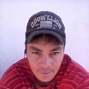 ���������� ����-�����������, ���� ������� ���������, 40 ���, ������������ ��� ������, ����� � ���������, c�������� ���������