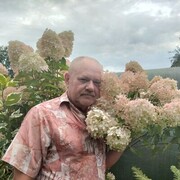  ,   , 60 ,   ,   , 