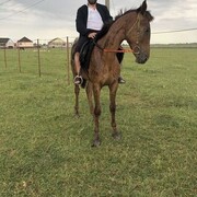 ���������� ������, ���� ������� ������, 43 ����, ������������ ��� ������, ����� � ���������