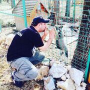 ���������� ������, ���� ������� ��������, 45 ���, ������������ ��� ������, ����� � ���������, c�������� ���������, ���������